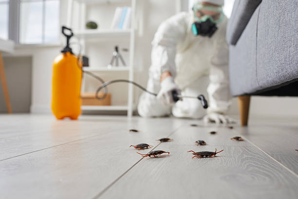 Trusted Rodent Control service in Franklin Park, PA - Nex Pest Control
