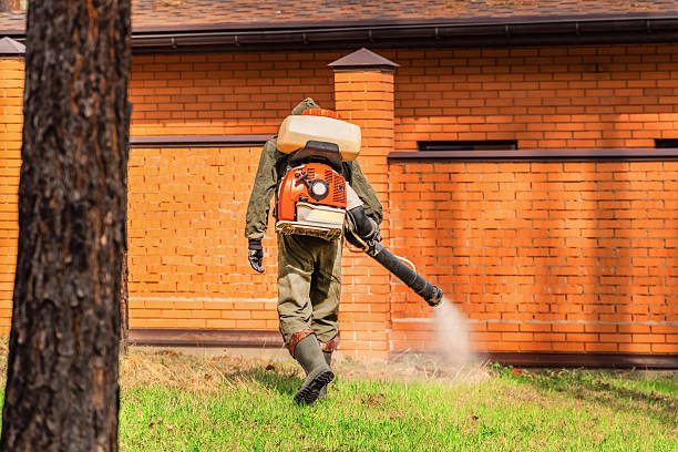 Trusted Termite Control service in Franklin Park, PA - Nex Pest Control